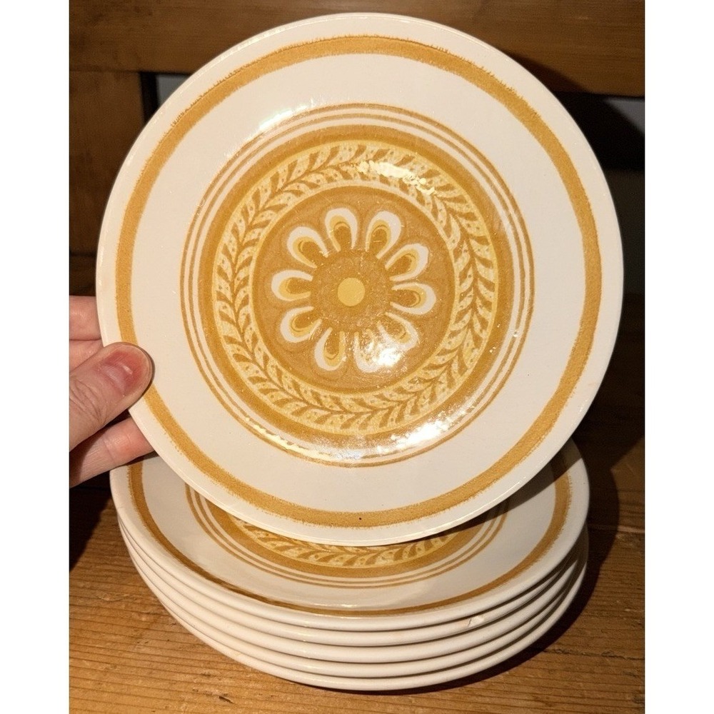 6 VTG Royal China CASABLANCA Cavalier Ironstone BREAD SNACK Plates BOHO Flower